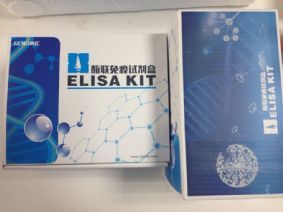 脫氧膽酸鈉溶液 E2高純度 (國(guó)產(chǎn)/進(jìn)口)-產(chǎn)品展示-上海信帆生物科技