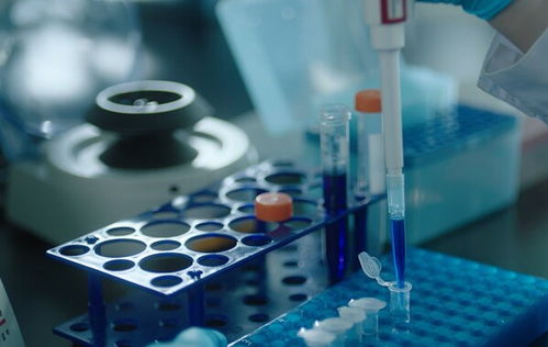 生物醫藥產業跨越式發展 泰諾麥博以多重創新發展新質生產力