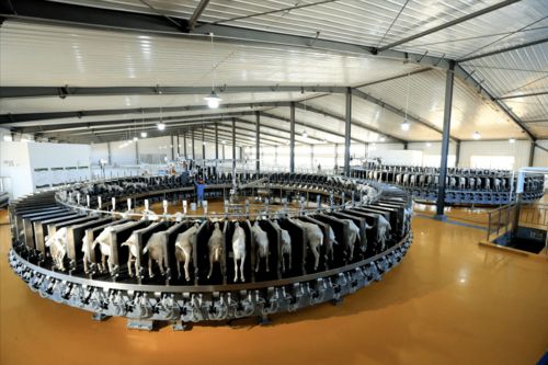 和林格爾縣 黨建引領 多元驅動 打好產業發展 組合拳