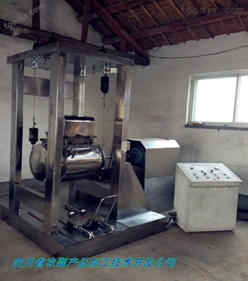 葛根淀粉提取技術(shù)設(shè)備開發(fā) 現(xiàn)狀、挑戰(zhàn)與創(chuàng)新路徑